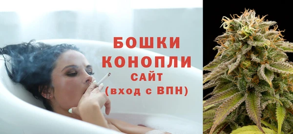 шишки Козельск