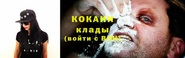 шишки Козельск