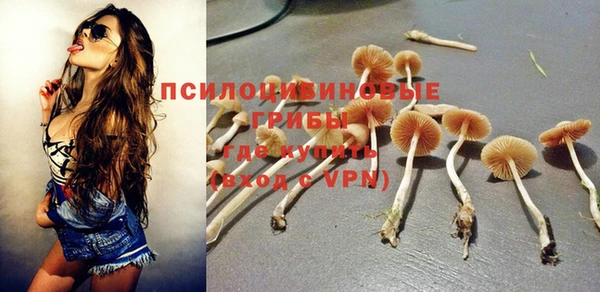 шишки Козельск
