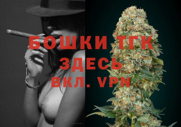 шишки Козельск