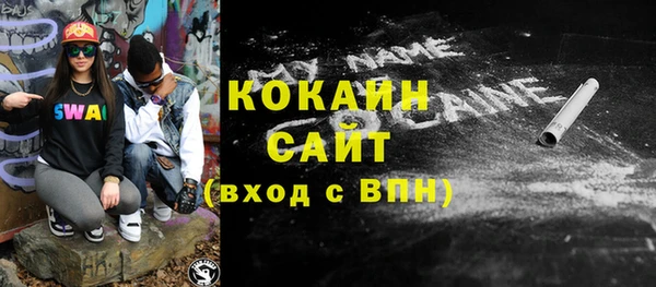 шишки Козельск
