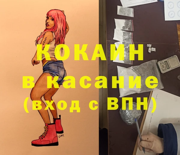 шишки Козельск