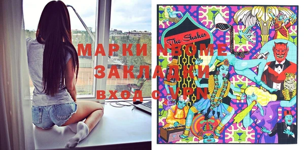 шишки Козельск