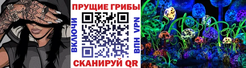 Купить  Кирс  Псилоцибиновые грибы мицелий 